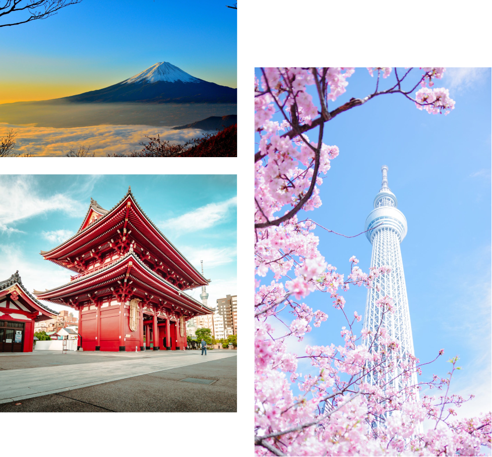 Hotel & experiences
